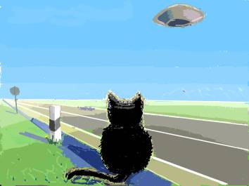 ����� ��������