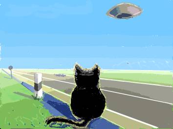 ����� ��������